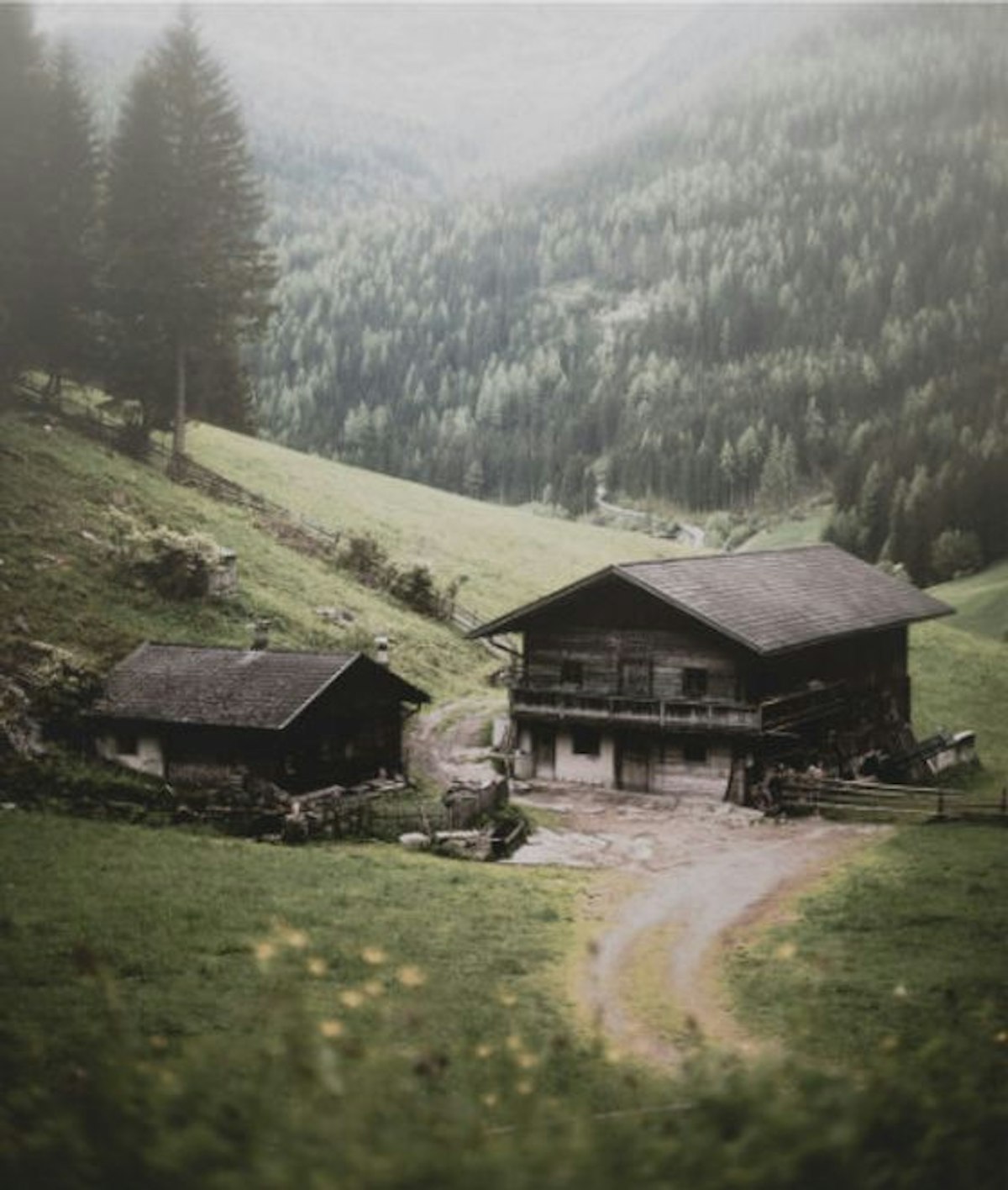 portrait of a cabin in the mountains